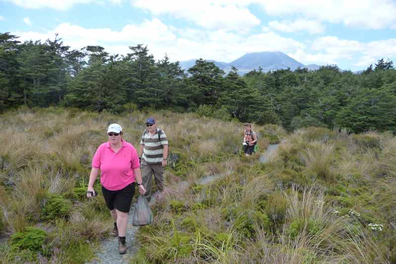 Nieuw-Zeeland 2011 - 0826